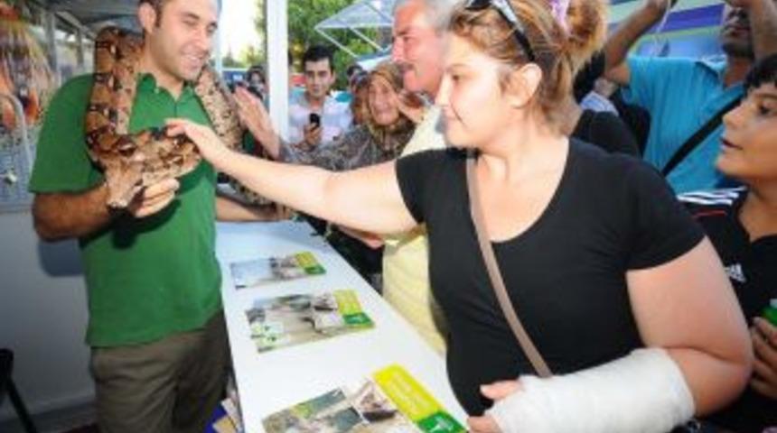 İEF'deki Belediye Sokağı'nda en b&uuml;y&uuml;k ilgiyi boa yılanı &ccedil;ekiyor