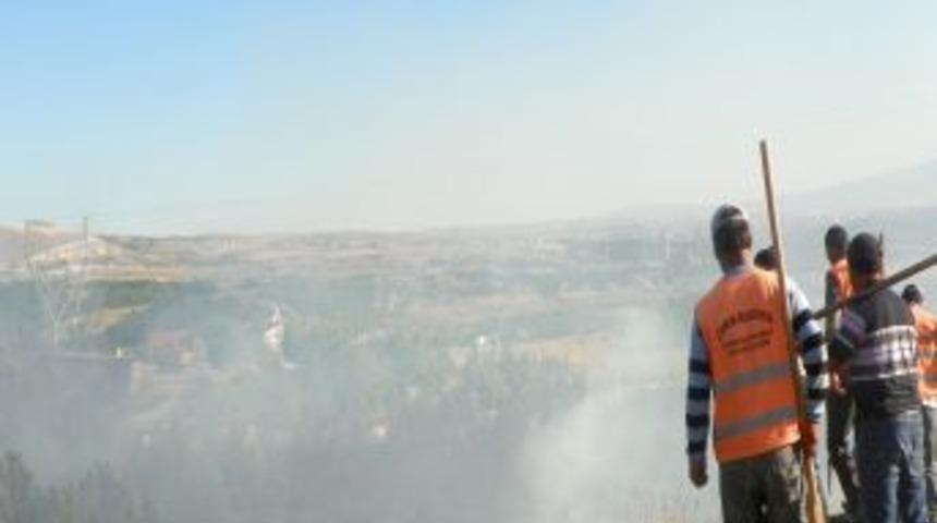 &Ccedil;orum'da 20 d&ouml;n&uuml;ml&uuml;k kara&ccedil;am ormanı yandı