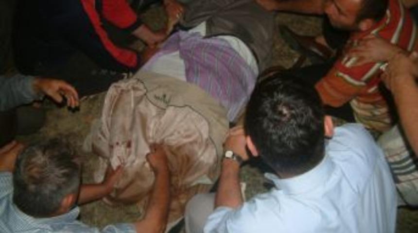 Başıboş gezen inekler kazaya neden oldu: 1&ouml;l&uuml;, 5 yaralı