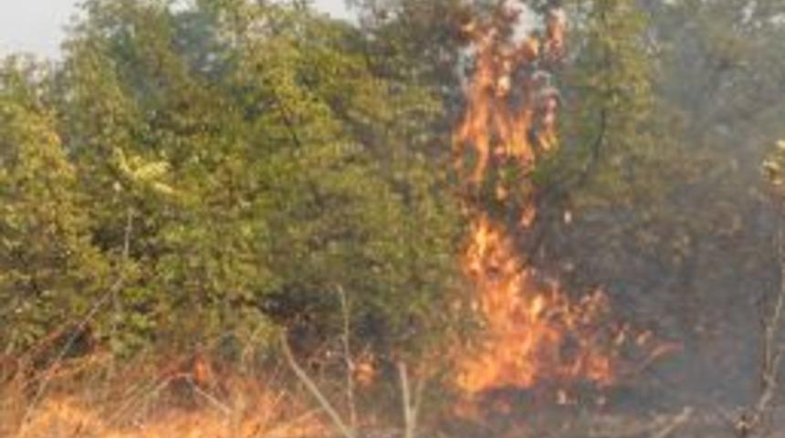 Eyl&uuml;l ayındaki 17 yangında 33 hektar orman alanı k&uuml;l oldu