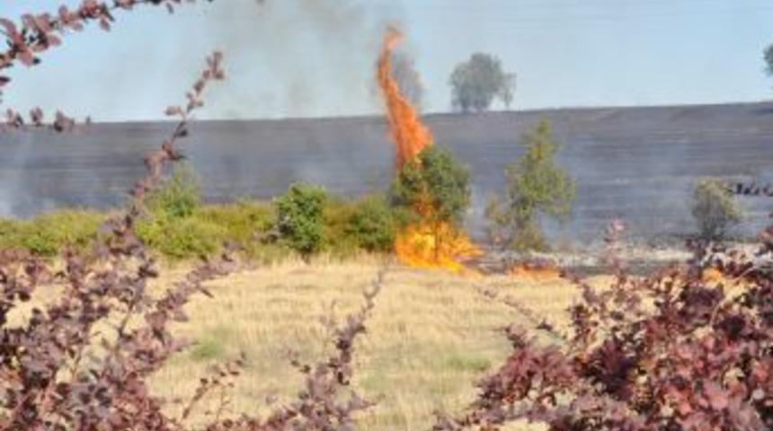 Botaş&rsquo;ın ana vanasına yaklaşan anız yangını korkuttu