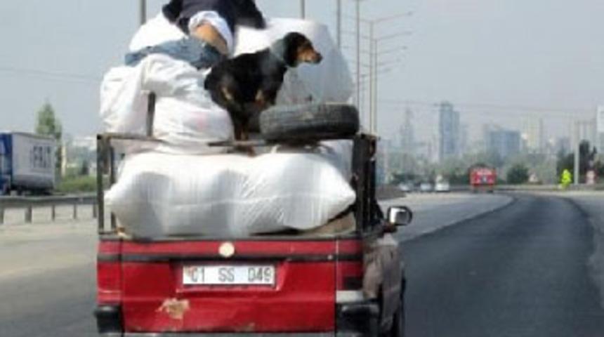 TEM Otoyolu'nda şaşırtan görüntü