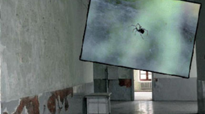 Kongre binasını örümcekler sardı