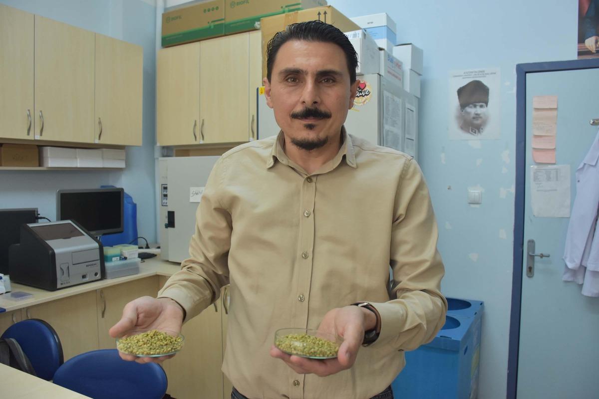 Herkes baharat olarak kullanıyor! Profesörden uyarı: "Reçeteyle satılmalı” 2