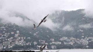 Ordu’da görsel şölen