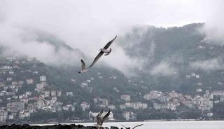 Ordu&rsquo;da g&ouml;rsel ş&ouml;len