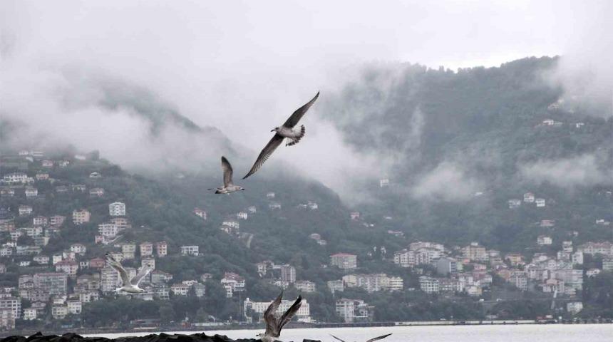 Ordu&rsquo;da g&ouml;rsel ş&ouml;len