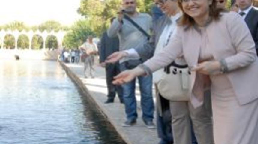 Bakan Şahin, Balıklıgöl'de balıklara yem attı