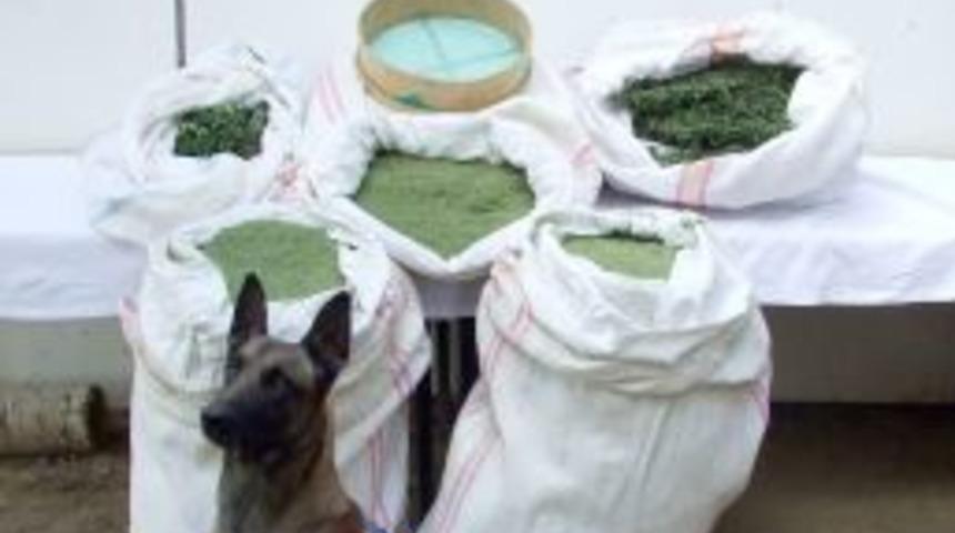 13 milyon liralık uyuşturucu imha edildi