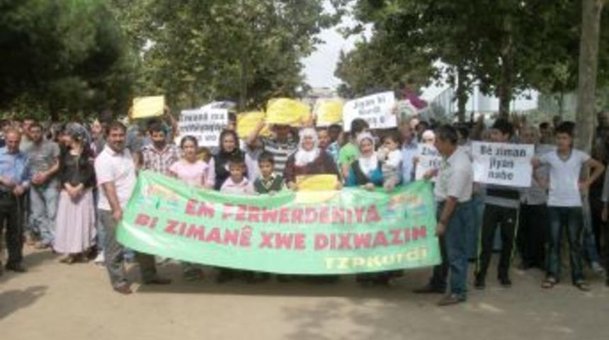 Kürtçe ana dilde eğitim hakkı istediler