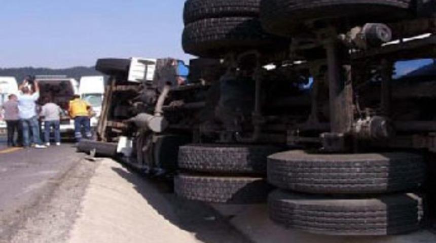 Arı kamyonu devirdi