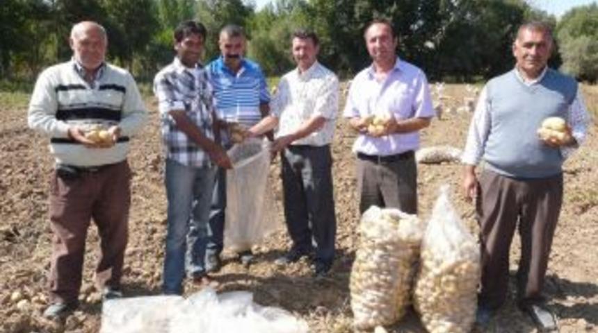 Yozgat&rsquo;ta &uuml;retilen patatese yurdun d&ouml;rt bir tarafından t&uuml;ccar geliyor