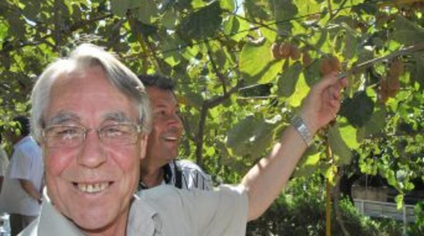 Kivi, zeytinin tahtını sallıyor