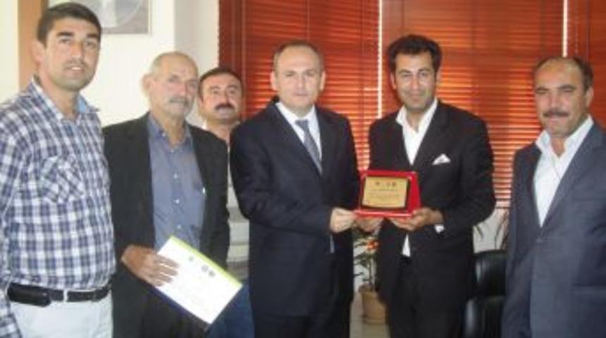 "Zeytinde b&ouml;lgesel bir marka olmak istiyoruz"