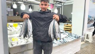 Sinop&rsquo;ta tezg&acirc;hlar şenlendi! Palamutun fiyatı 50 liraya kadar d&uuml;şt&uuml;