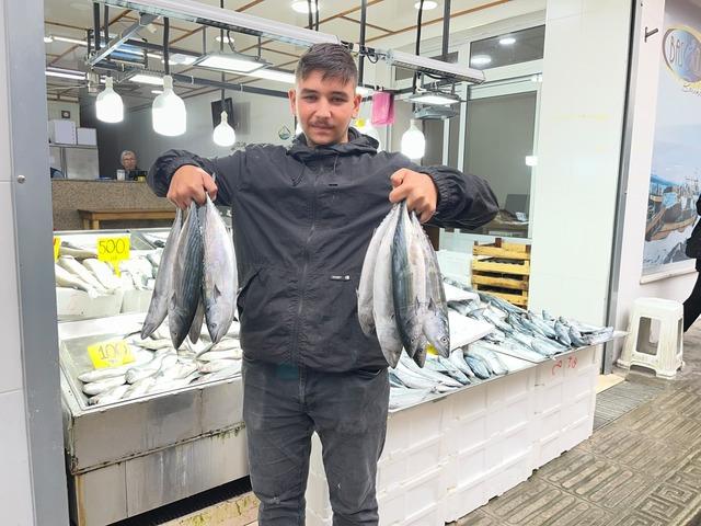 Sinop&rsquo;ta tezg&acirc;hlar şenlendi! Palamutun fiyatı 50 liraya kadar d&uuml;şt&uuml;