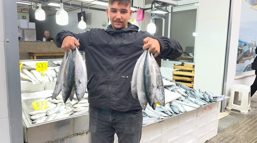 Sinop&rsquo;ta tezg&acirc;hlar şenlendi! Palamutun fiyatı 50 liraya kadar d&uuml;şt&uuml;