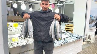 Sinop’ta tezgâhlar şenlendi! Palamutun fiyatı 50 liraya kadar düştü