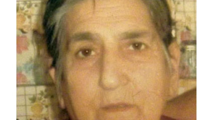 3 g&uuml;n arayla iki oğlunu kaybeden anne &ouml;ld&uuml;