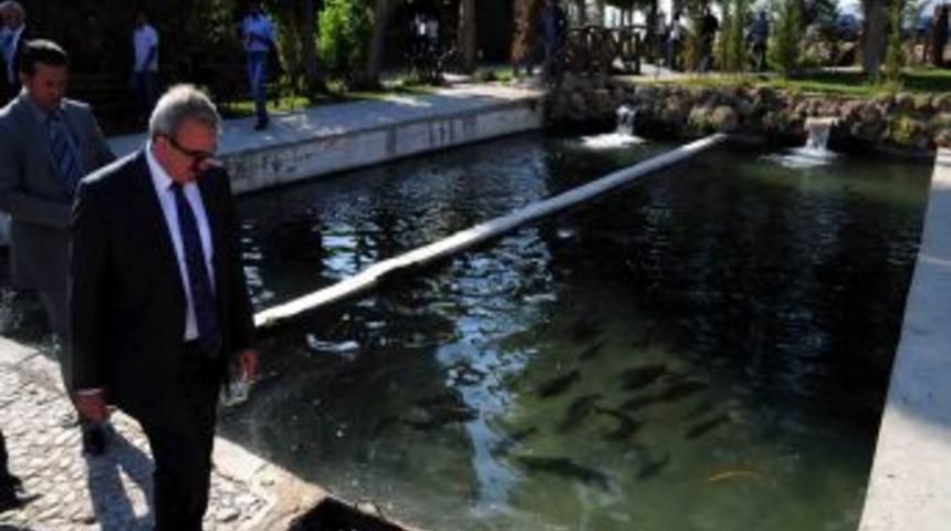 Van'da alabalık &uuml;retim merkezleri yapılacak