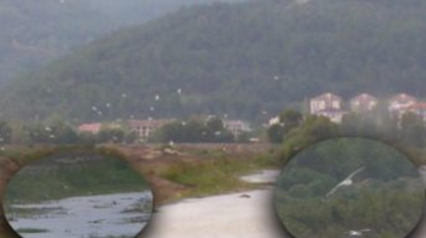 H&uuml;davendigar Kent Parkı kuş cennetine d&ouml;nd&uuml;