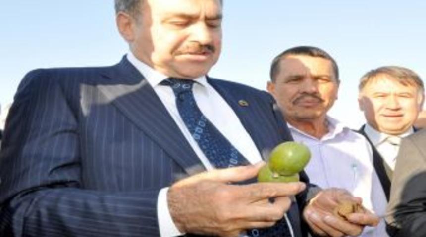 Bakan Eroğlu Edirne’de doğaya keklik saldı