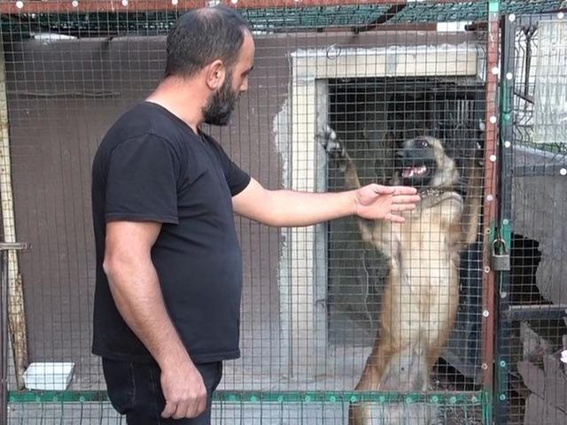 800 bin liralık k&uuml;mese kurt n&ouml;beti! 24 saat kayıt yapılıyor