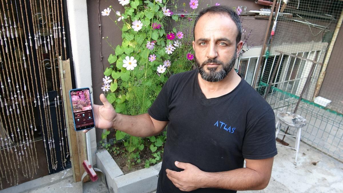 Kümesinde 800 bin liralık servet var! Başlarında 24 saat kurt nöbet tutuyor 2
