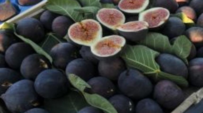 Başkan Bozbey: Hedef, incirimizin d&uuml;nyanın her yerine ihracatını sağlamak