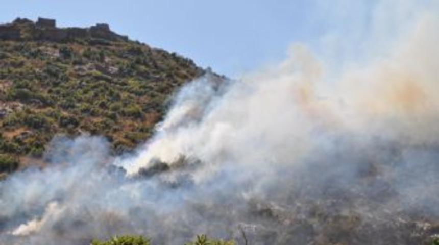 Tarihi kaledeki 1,5 hektarlık alan kül oldu