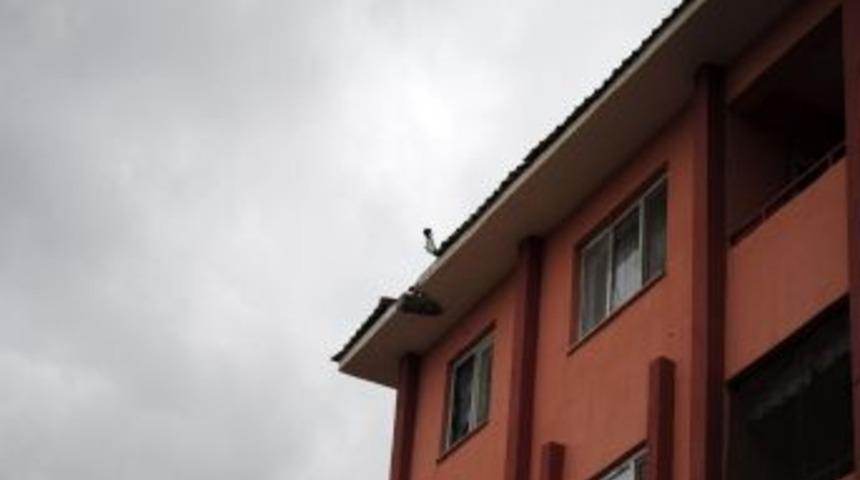 Emniyet lojmanlarında havan mermisi izleri