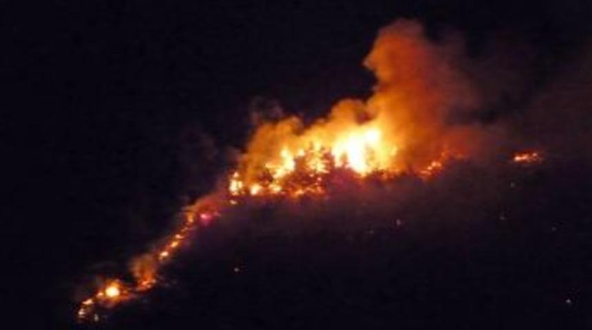 Kozan'da aynı ormanda bir ayda &uuml;&ccedil; yangın &ccedil;ıktı