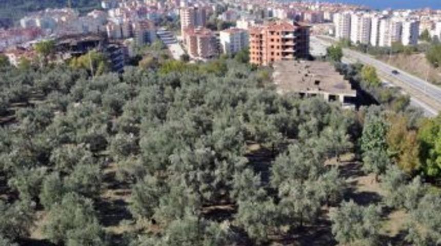 G&uuml;zel Sanatlar Fak&uuml;ltesi&rsquo;ne yeni bina