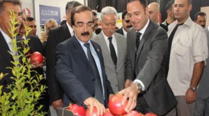 Şent&uuml;rk: B&uuml;y&uuml;k firmalar tarıma y&ouml;neldi