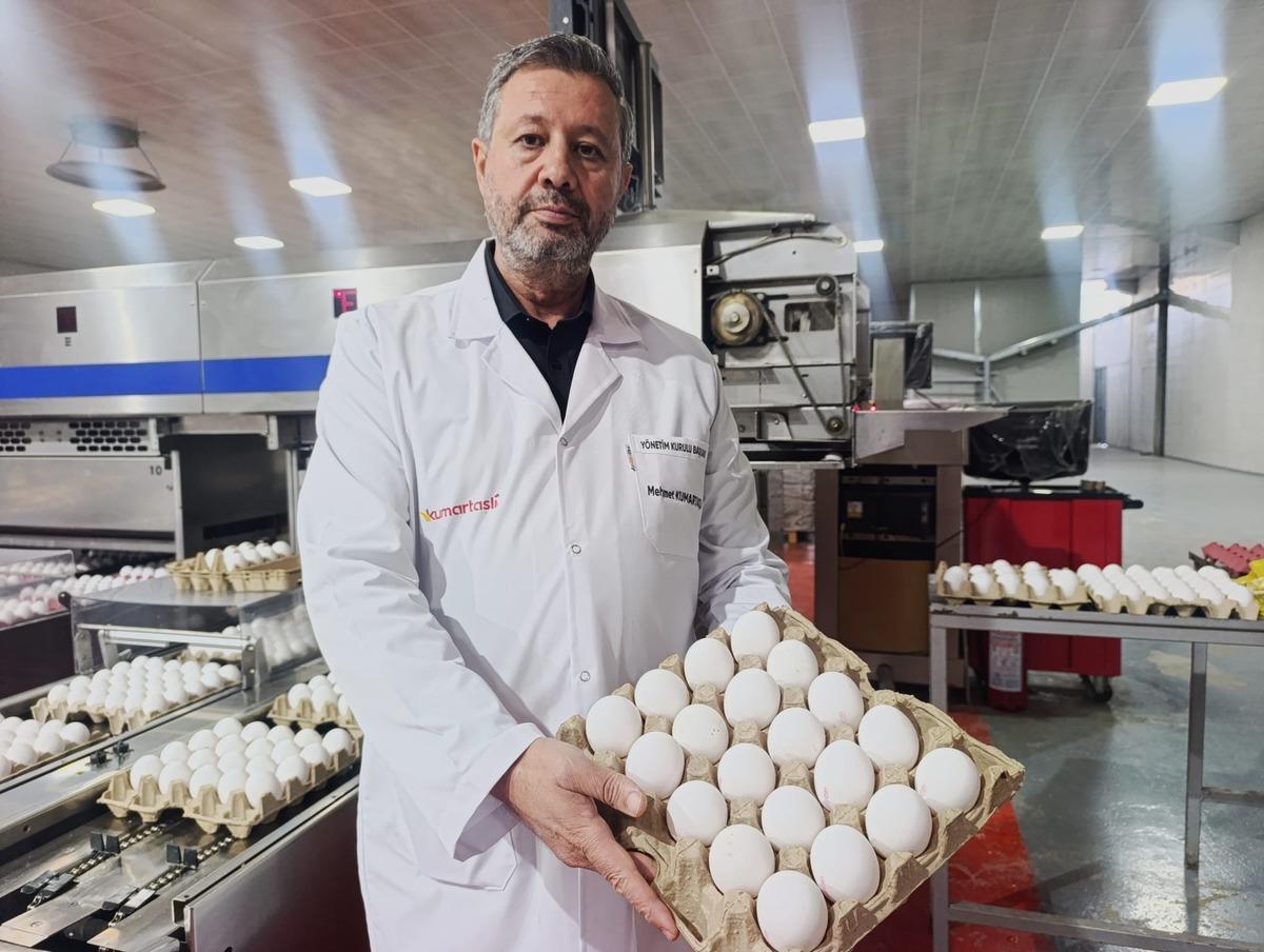 Yumurta fiyatlarında kısa vadede artış &ouml;ng&ouml;r&uuml;lm&uuml;yor 2