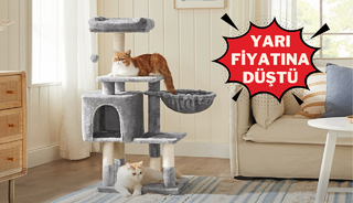 Konforlu ve g&uuml;venli tasarımıyla kedinizin yeni favori k&ouml;şesi!