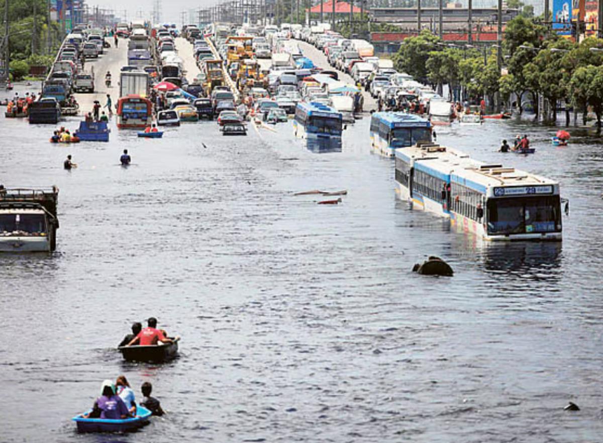 Sel suları şehri bastı! Yılanlar sokaklarda görülmeye başladı 1