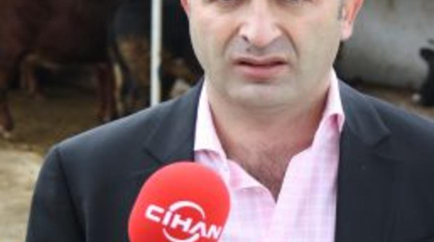 Et üreticilerinden uyarı: Dişi hayvanları kurbanlık etmeyin