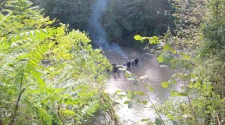 Görele-Çanakçı karayolunda trafik kazası: 1 ölü 1 yaralı