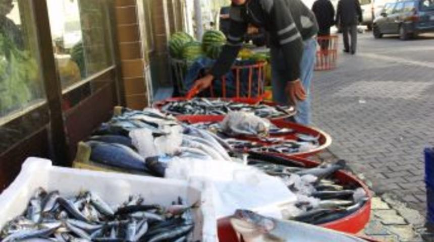 Havalar soğuyunca balıklar tezg&acirc;ha indi