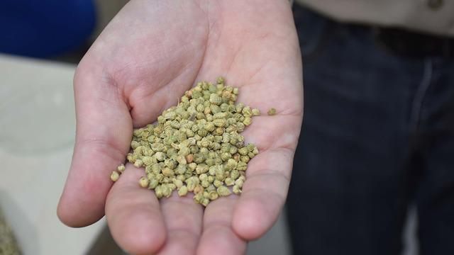 Herkes baharat olarak kullanıyor! Profesörden uyarı: Reçeteyle satılmalı”