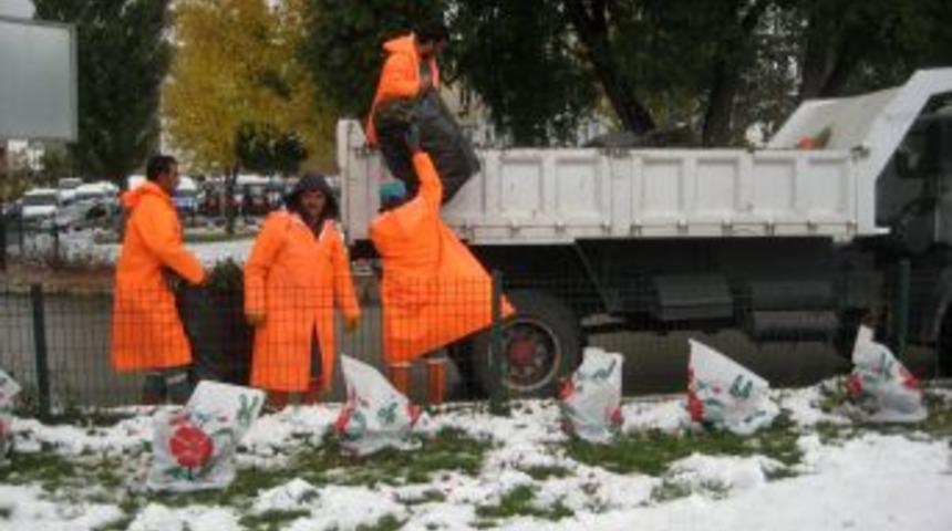 Erzurum'da &ccedil;i&ccedil;eklere kış koruması