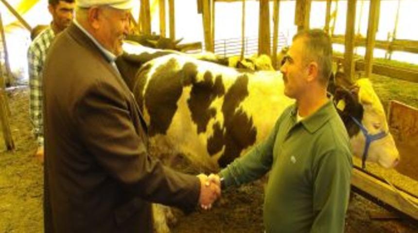 Kurbanlıklar pazardaki yerlerini aldı