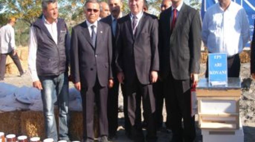 Adana'da 2 bin aile geçimini arıcılıkla sağlıyor