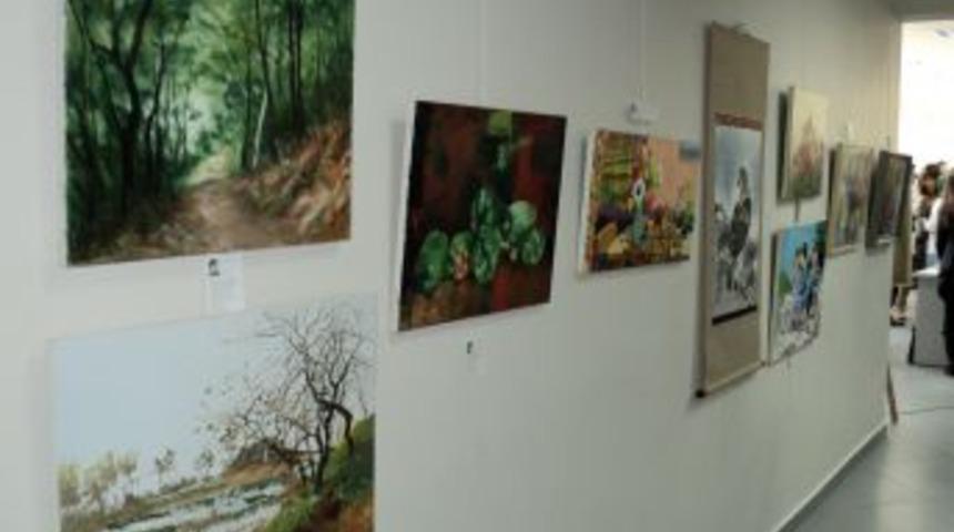 T&uuml;rk-Kore dostluğuna resim katkısı