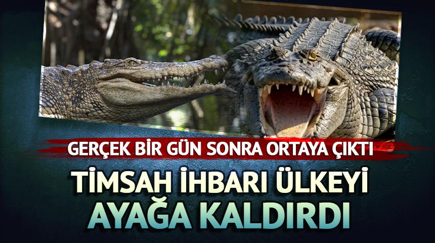 Timsah ihbarı &uuml;lkeyi ayağa kaldırdı: Ger&ccedil;ek bambaşka &ccedil;ıktı