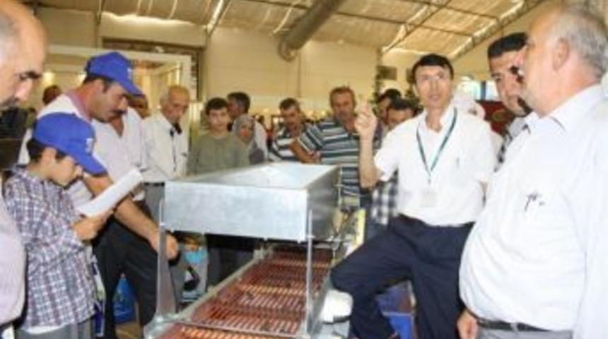 Hata yapmayan zeytin makinesini icat etti