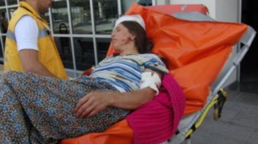 K&ouml;peğin saldırısına uğradı