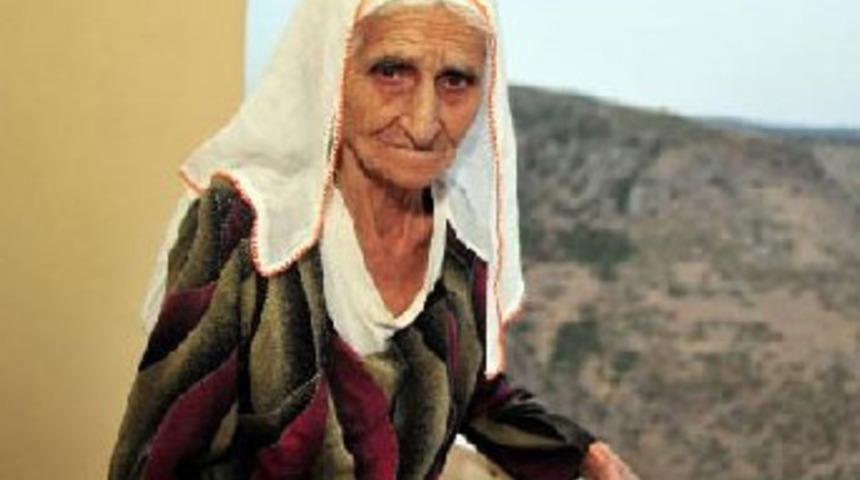 Ayşe Nine, Guinness'e aday