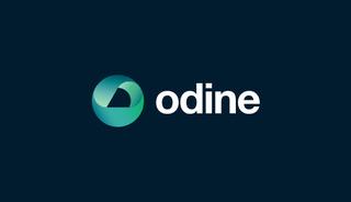 Odine hissesinden 15 milyar TL'lik vurgun! Cengiz Avcı hakkında yakalama kararı